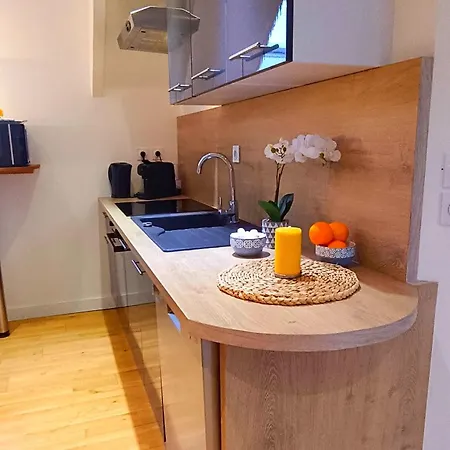 Vivez A Pied - A 2 Pas Du Chateau, Des Musees, Du Marche, Des Restaurants Et Au Pied Du Port De Plaisance *