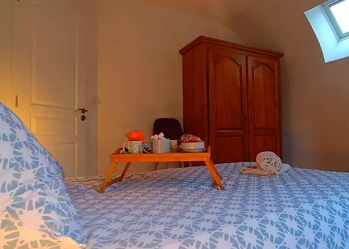 Apartment Vivez A Pied - A 2 Pas Du Chateau, Des Musees, Du Marche, Des Restaurants Et Au Pied Du Port De Plaisance