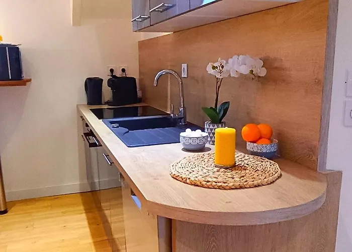 Vivez A Pied - A 2 Pas Du Chateau, Des Musees, Du Marche, Des Restaurants Et Au Pied Du Port De Plaisance *